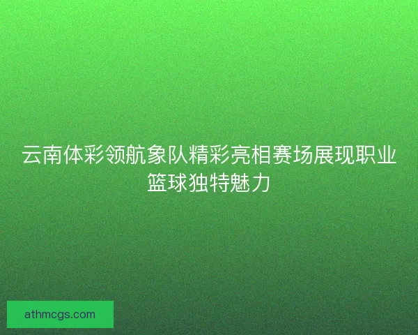 云南体彩领航象队精彩亮相赛场展现职业篮球独特魅力 云南体彩领航象队精彩亮相赛场展现职业篮球独特魅力